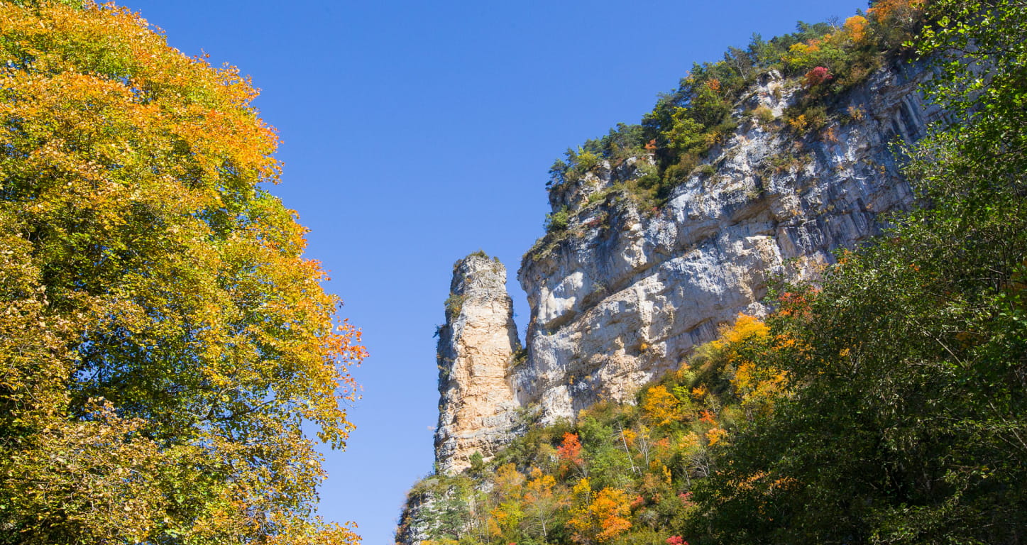 paysage d'automne dans la Drôme