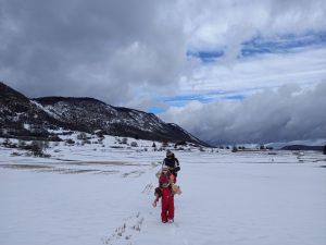 Plaine de Vassieux en Vercors en hiver