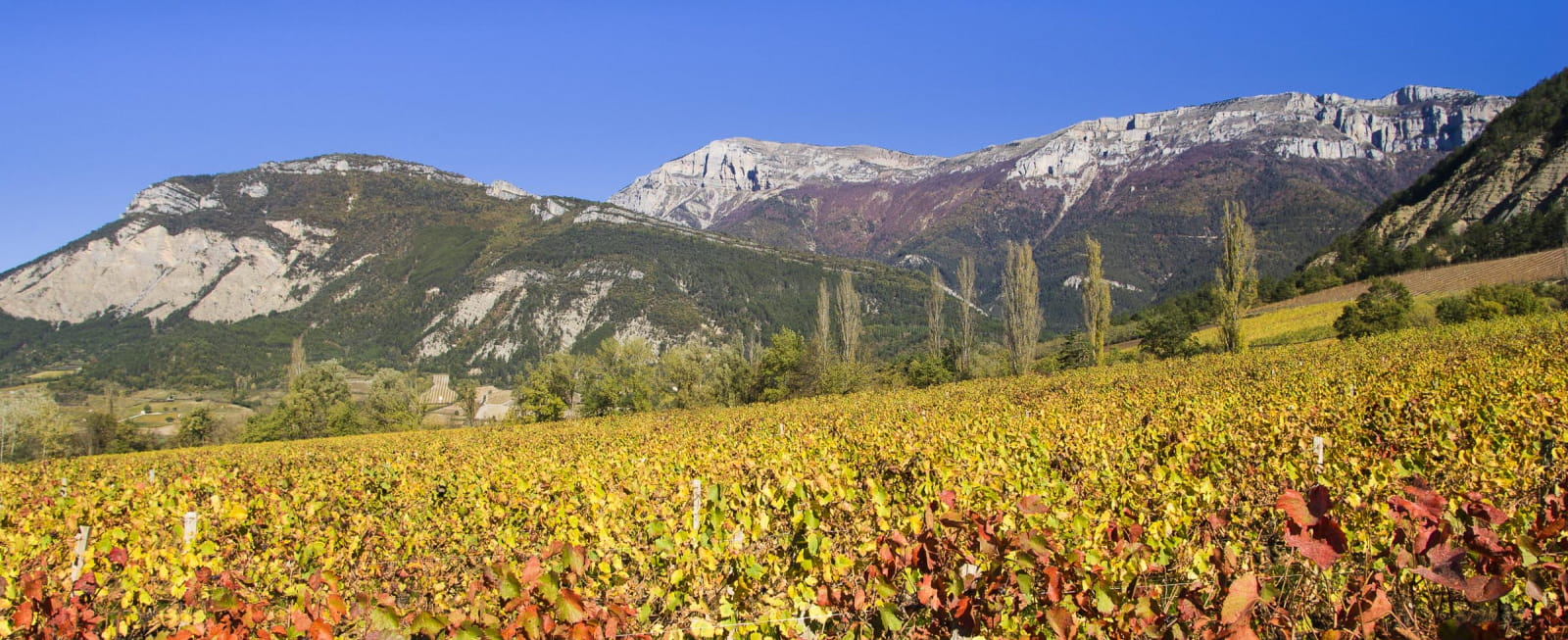 L'été indien dans la Drôme où un joli automne qui s'annonce !