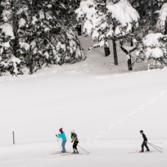 ski-de-fond-neige-hiver-vercors-drome