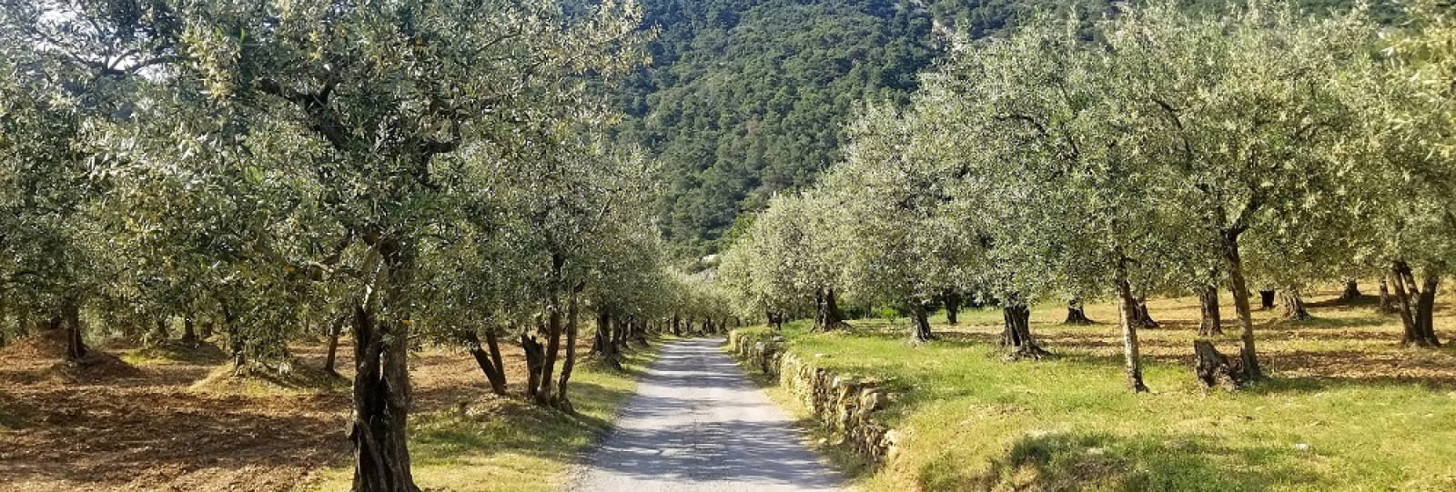 Drôme Provençale