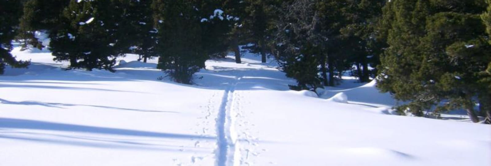 Nordic Skiing trek with a bivouac in a trapper's tent or in a mountain refuge on the Hauts plateaux du Vercors