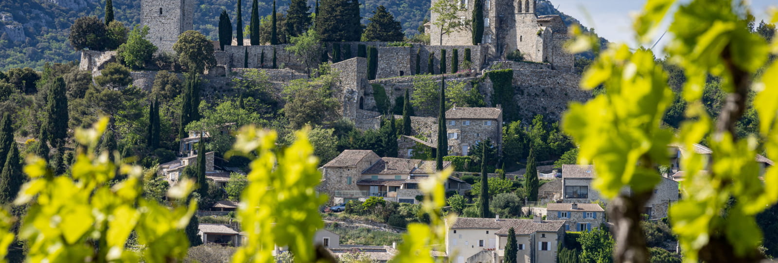 Secrets de vignes et saveurs - Pays de Grignan