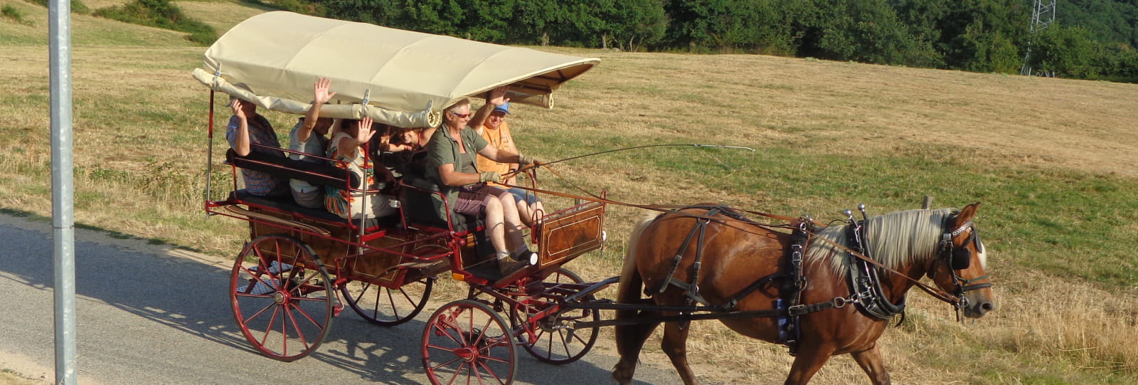 Carriage ride at the Bonnefontaine farm