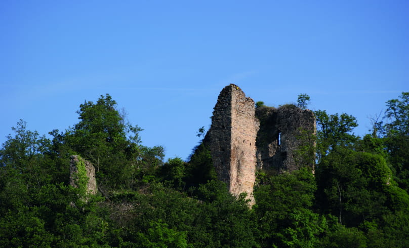 Ruines Château de Mantaille