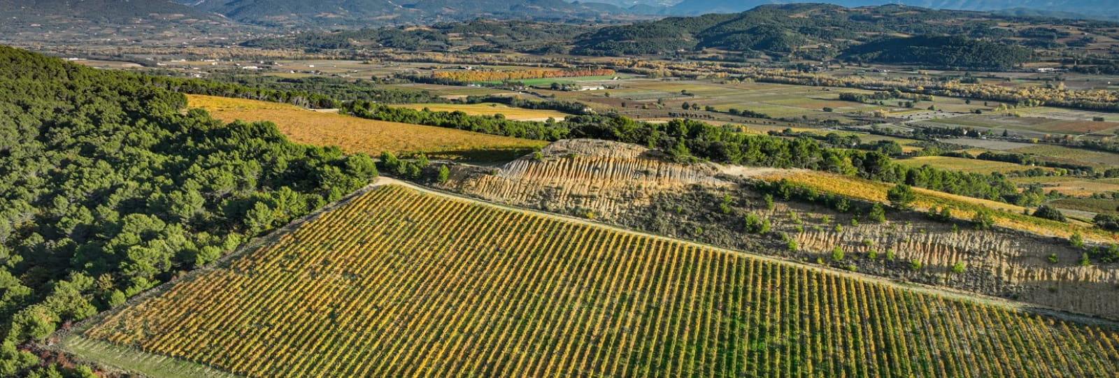 Les petites promenades de Vinsobres : les chemins du terroir