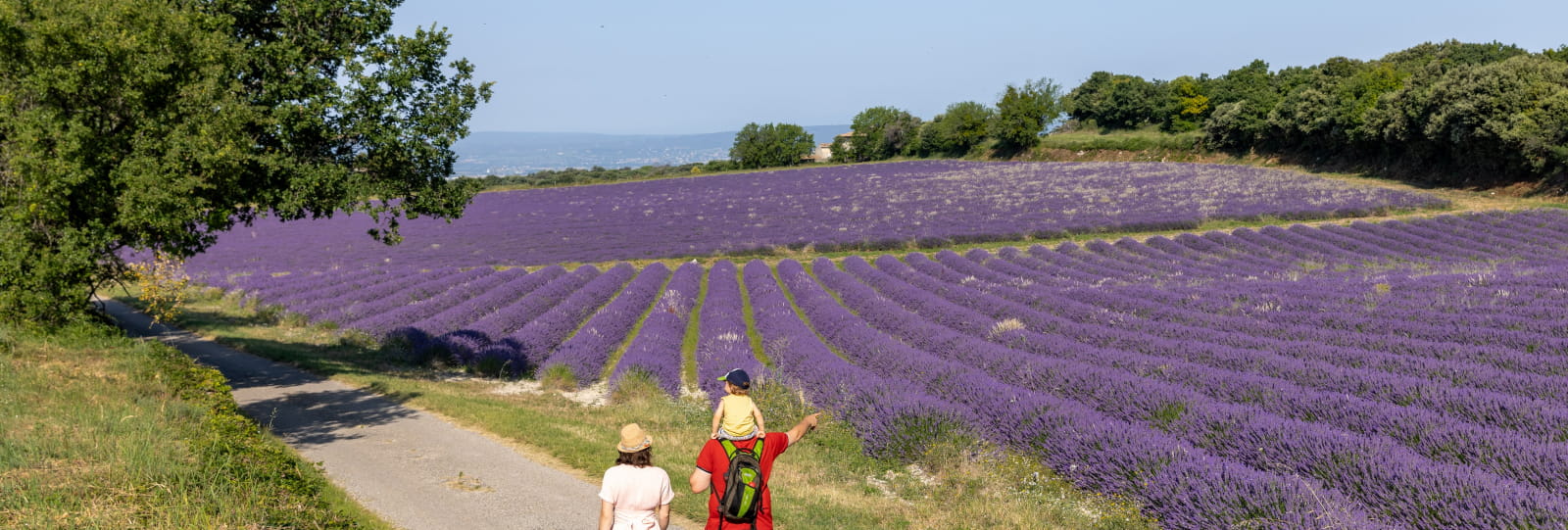 Les secrets de Drôme Sud Provence à pied