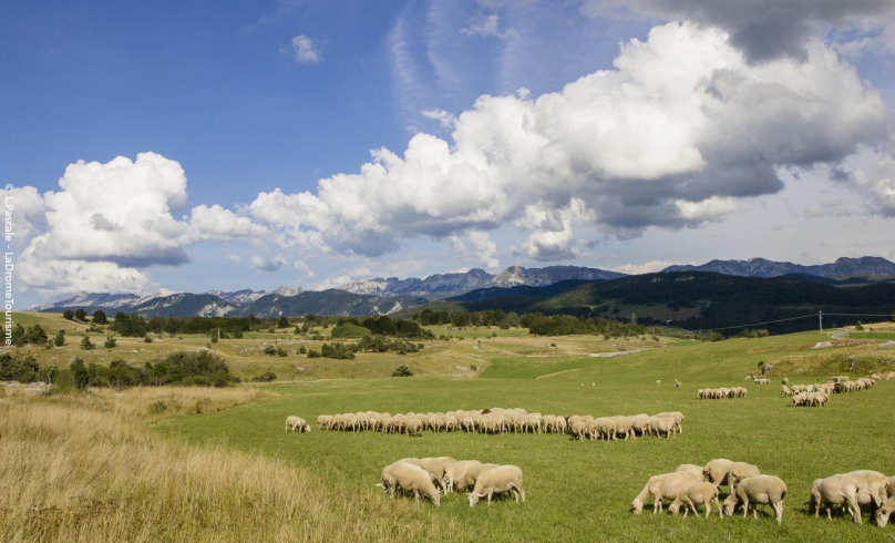 Sentier de la Frache