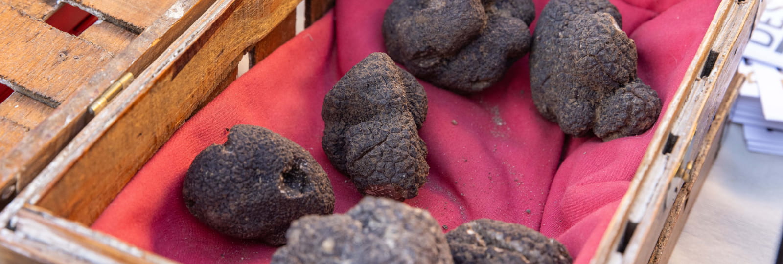 Séjour truffes et détente