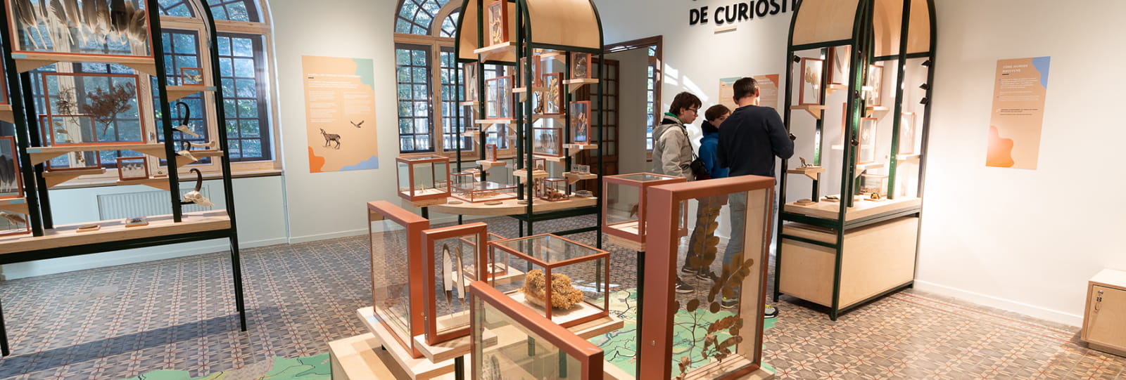 Cabinet de curiosité