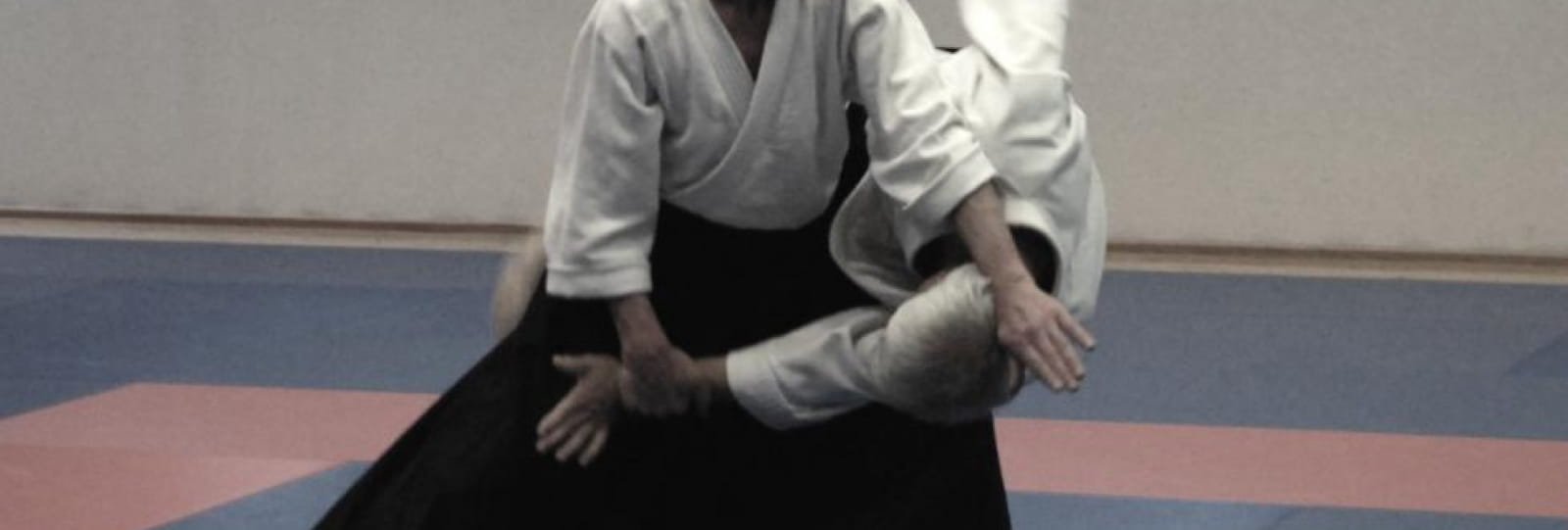 Dieulefit Aikido