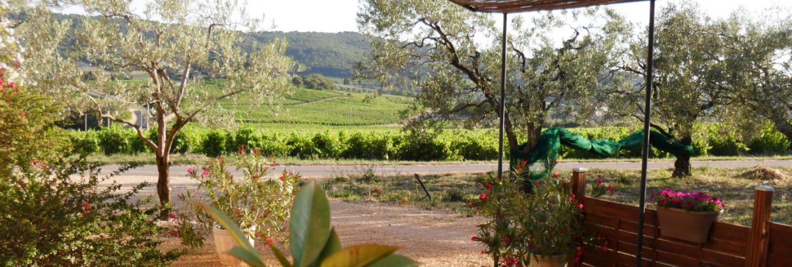 TERRASSE ET ENTREE DU GITE AU MILIEU DES OLIVIERS