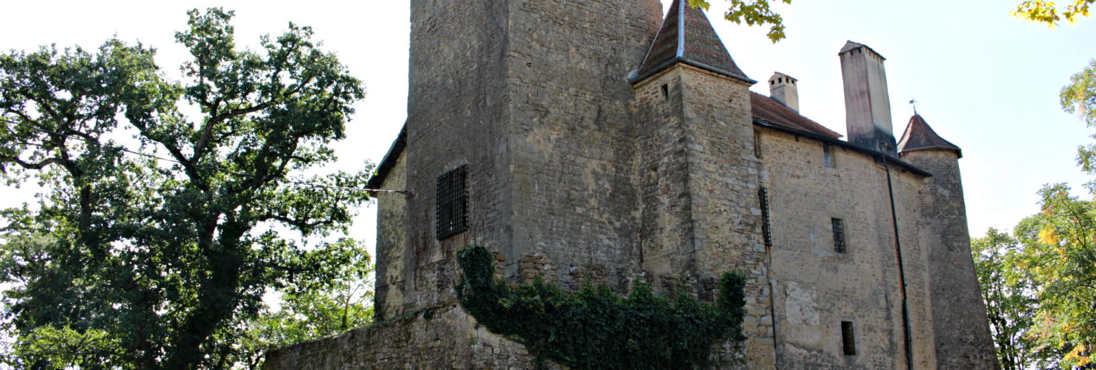 Château de Charmes sur l'Herbasse _