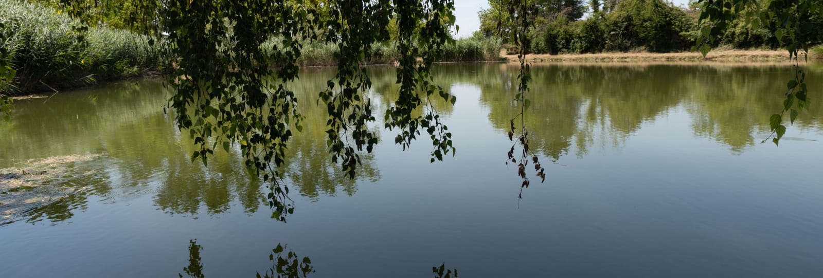 Chaleyre ponds