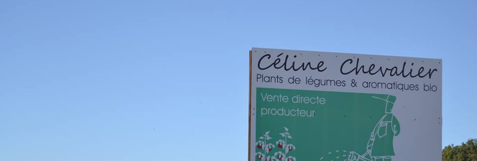 Les Plants de Céline