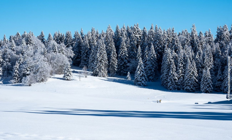 La plaine d'Herbouilly