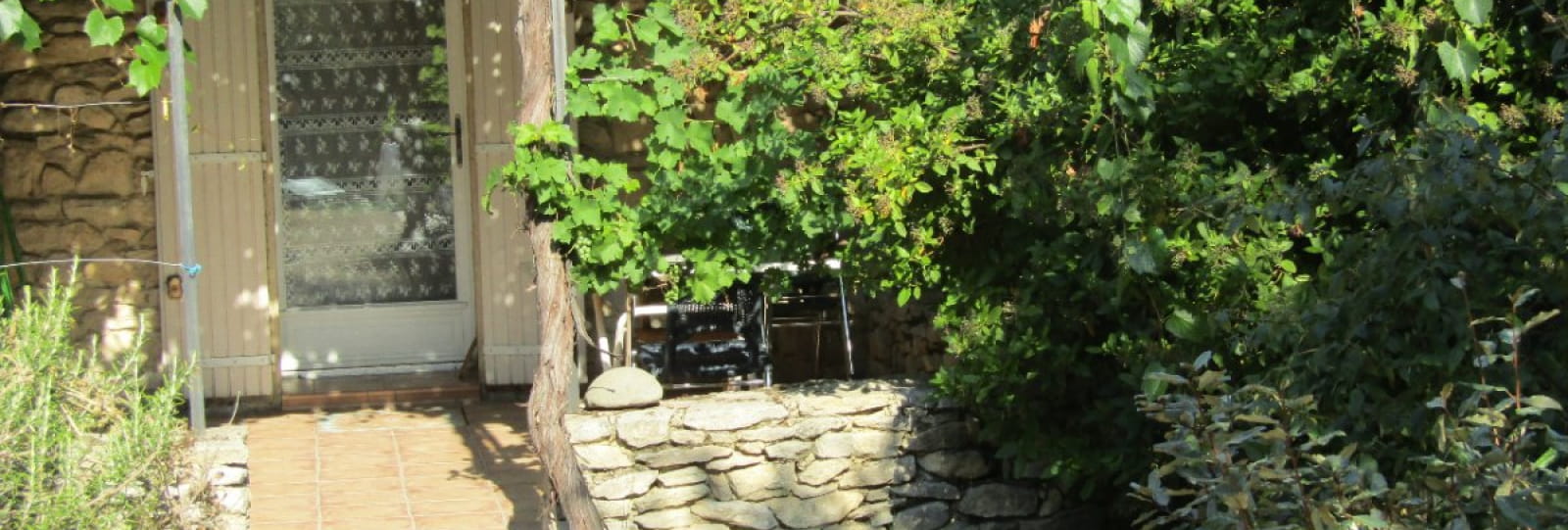 Terrasse ombragée d'une treille de vigne