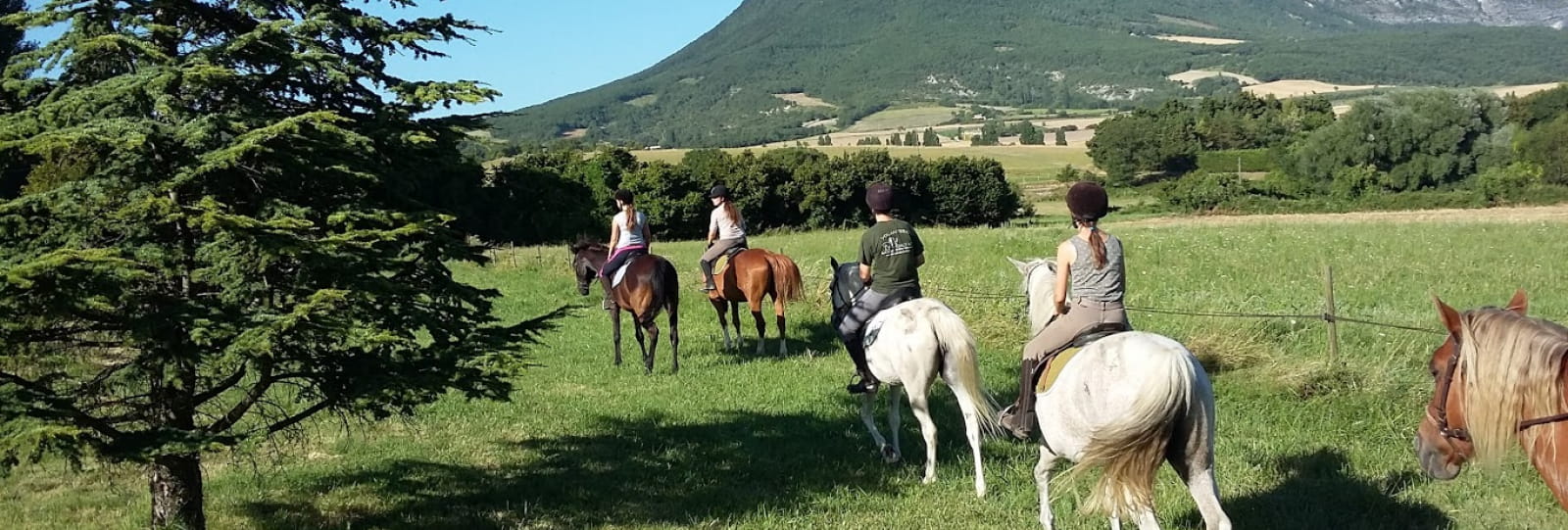 Equitation Les Crinières de Roche Colombe - Ferme équestre