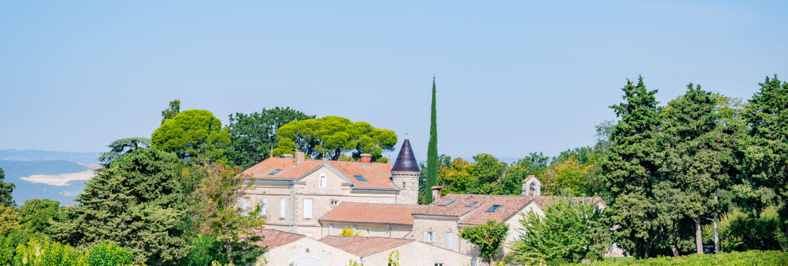 Les vins remarquables de la Drôme Provençale - Montélimar Agglomération