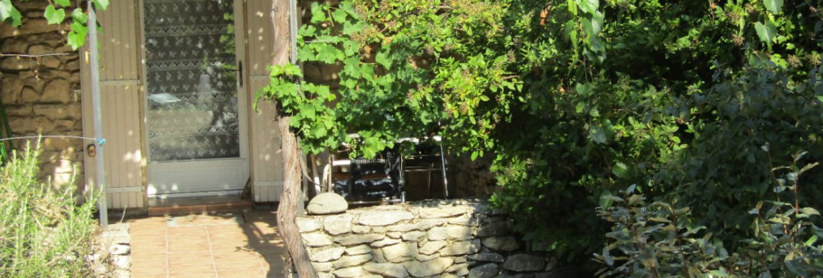 Domaine du Chêne Vert - Gîte La Ruche - Terrasse ombragée d'une treille de vigne